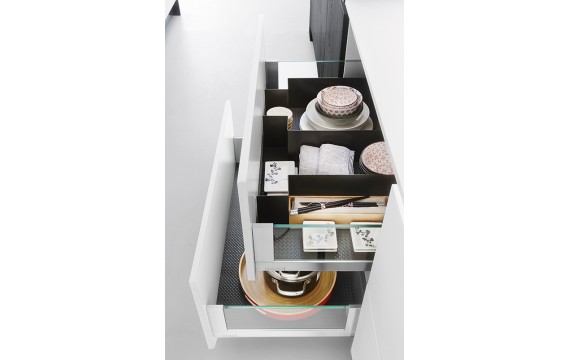 FENIX 4901 